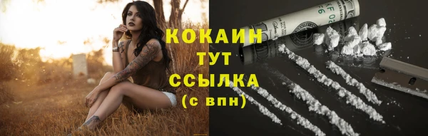 гидропоника Бородино