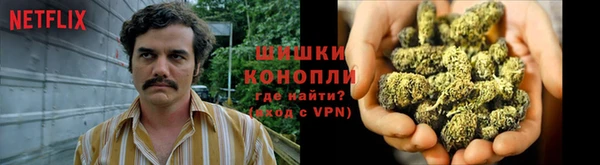 гидропоника Бородино