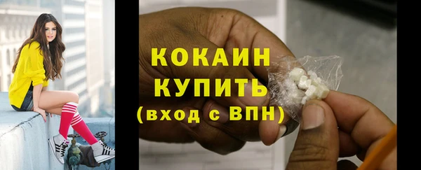 гидропоника Бородино