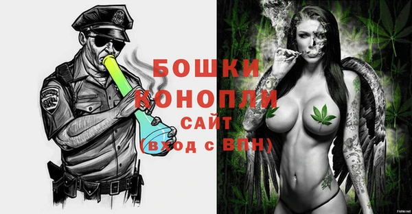 гидропоника Бородино