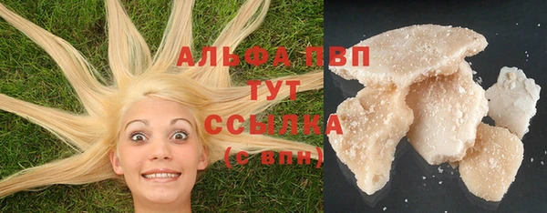 гидропоника Бородино