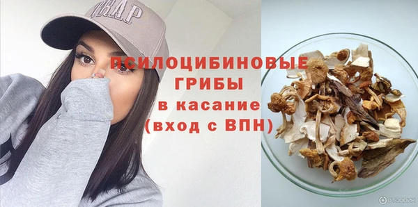 гидропоника Бородино