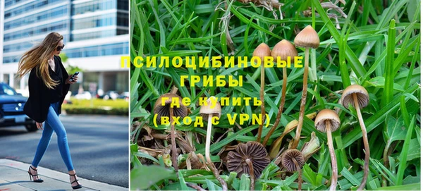 гидропоника Бугульма