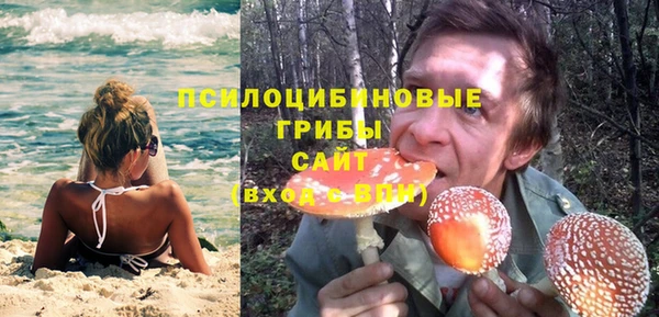 гидропоника Бородино